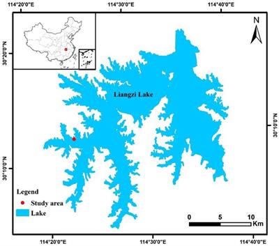 Application of artificial spawning substrates to support lacustrine fish recruitment and fisheries enhancement in a Chinese lake